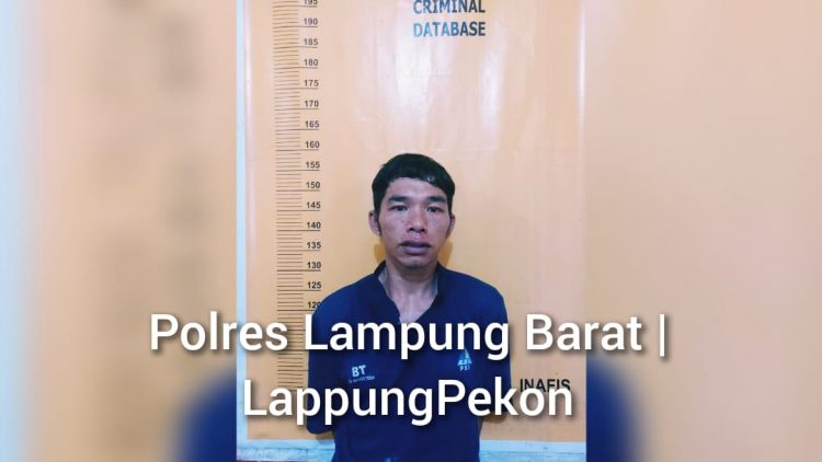 Polres Lampung Barat Tangkap Perampok yang Buron Sejak 2013 Silam